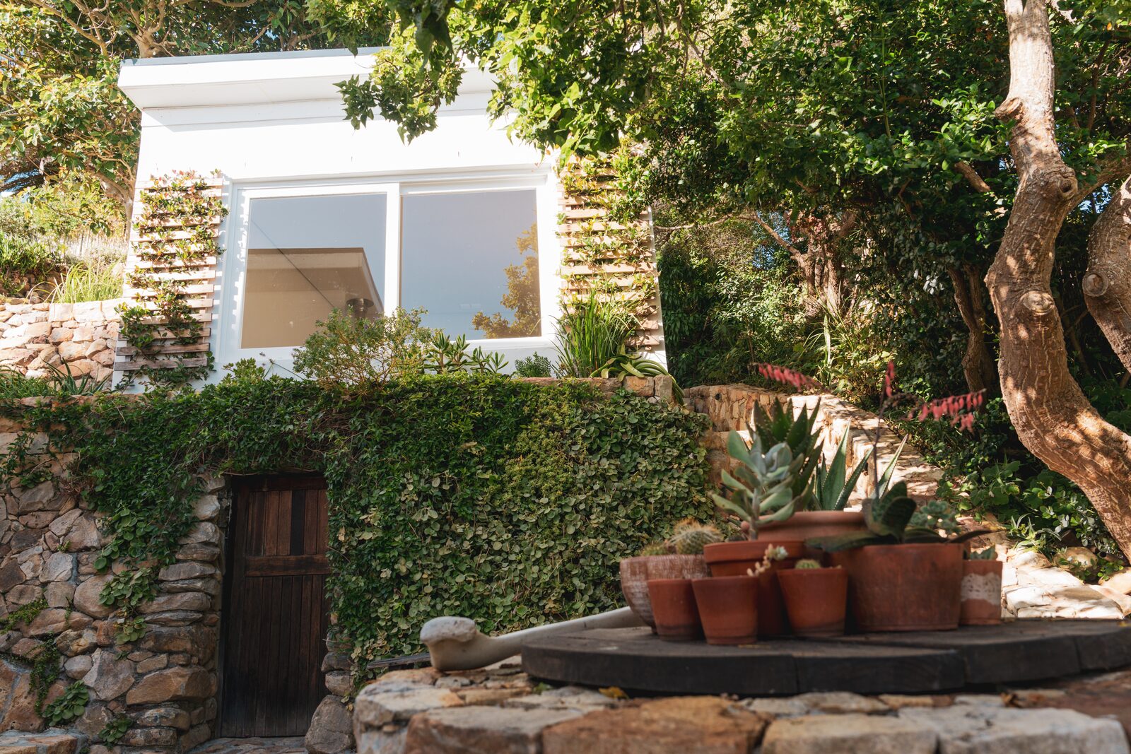 Palm Rock and its indigenous garden